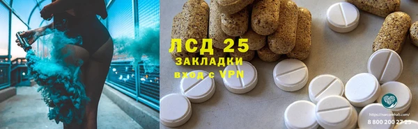 стафф Заводоуковск