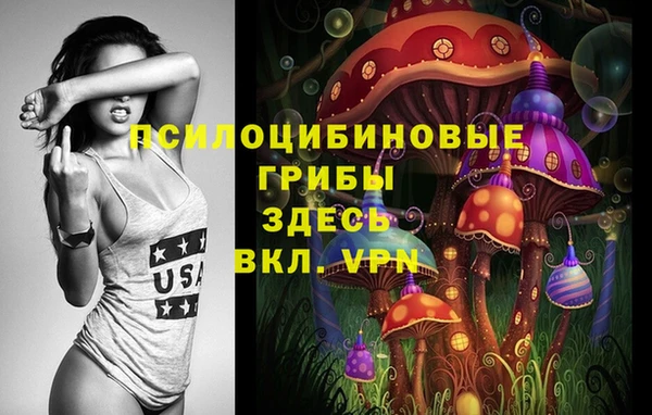 стафф Заводоуковск