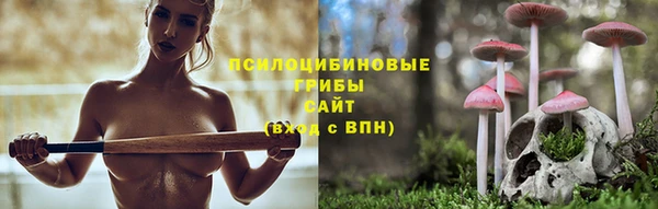 стафф Заводоуковск