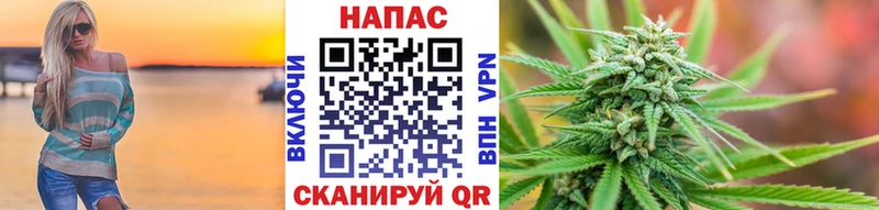МАРИХУАНА сатива  Купить где  Жирновск 